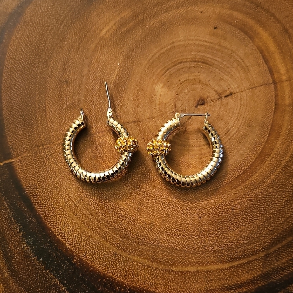 Elegant Gold Hoop Earrings